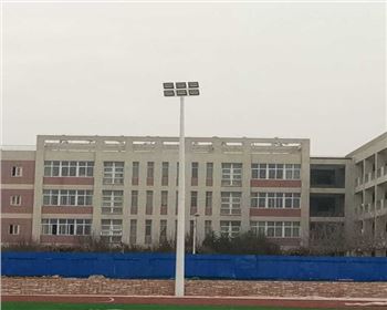 陜西西安藍(lán)田縣職教中心操場亮化高桿燈項目